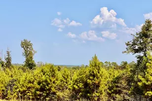 Lot 24 Morgans Branch, Molino, FL 32577 - Photo 1