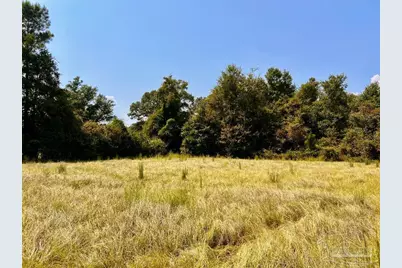 Lot 28 Morgans Branch, Molino, FL 32577 - Photo 1