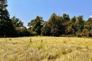 Lot 28 Morgans Branch, Molino, FL 32577 - Photo 1