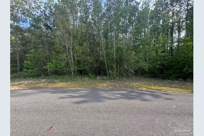 0000 Narrow Rd, Jay, FL 32565 - Photo 1