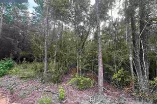 0000 Bailly Rd, Milton, FL 32570 - Photo 1