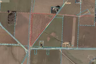 6000 Pine Forest Rd, Walnut Hill, FL 32568 - Photo 1