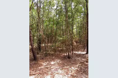 Parcel C-2 Wildlife Rd, Harold, FL 32564 - Photo 1