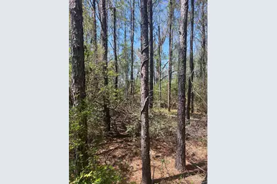 00 Dykestown Rd, Jay, FL 32565 - Photo 1