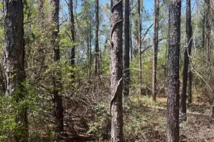 00 Dykestown Rd, Jay, FL 32565 - Photo 1