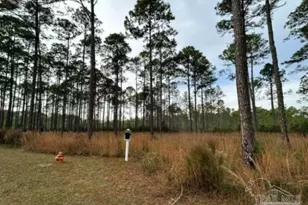 8541 Preservation Dr, Panama City Beach, FL 32413 - Photo 1