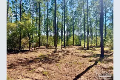 Lot 75 Naturewalk Dr, Jay, FL 32565 - Photo 1