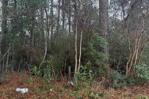 300 Blk Mier Henry Rd, Pensacola, FL 32506 - Photo 1