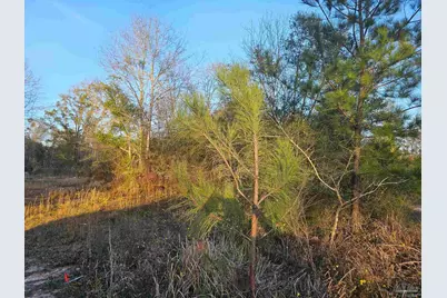304 S Chipper Rd, Cantonment, FL 32533 - Photo 1