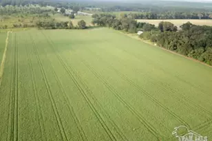 4+ Acres Hwy 87, Milton, FL 32570 - Photo 1