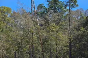 0000 School St, Bagdad, FL 32583 - Photo 1