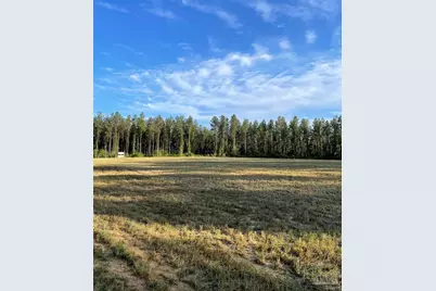 6950 Luth Rd, Molino, FL 32577 - Photo 1