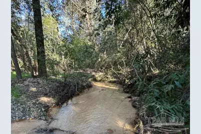 85+/- Acres Wiley Scott Rd, Jay, FL 32565 - Photo 1