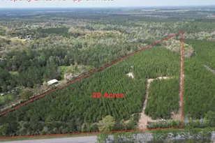 1000 Blk Hwy 97, Molino, FL 32577 - Photo 1