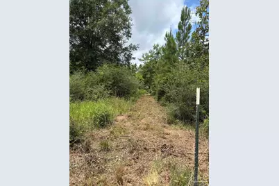2800 Blk Velor Rd, McDavid, FL 32568 - Photo 1
