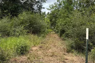 2800 Blk Velor Rd, McDavid, FL 32568 - Photo 1