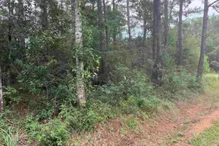 0 N 19th Ave, Milton, FL 32583 - Photo 1