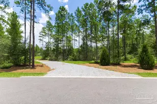 8822 Naturewalk Dr, Jay, FL 32565 - Photo 1