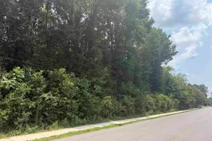 0000 Tilubo Ln, Pace, FL 32571 - Photo 1