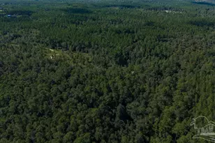18 69 Acres Native Creek Rd, Pace, FL 32571 - Photo 1