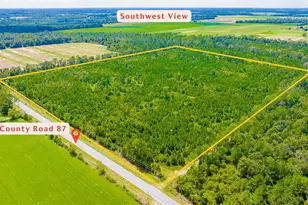 00 County Road 87, Elberta, AL 36530 - Photo 1