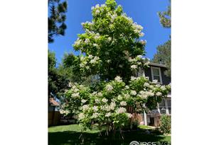 3269 W 101st Cir - Photo 7