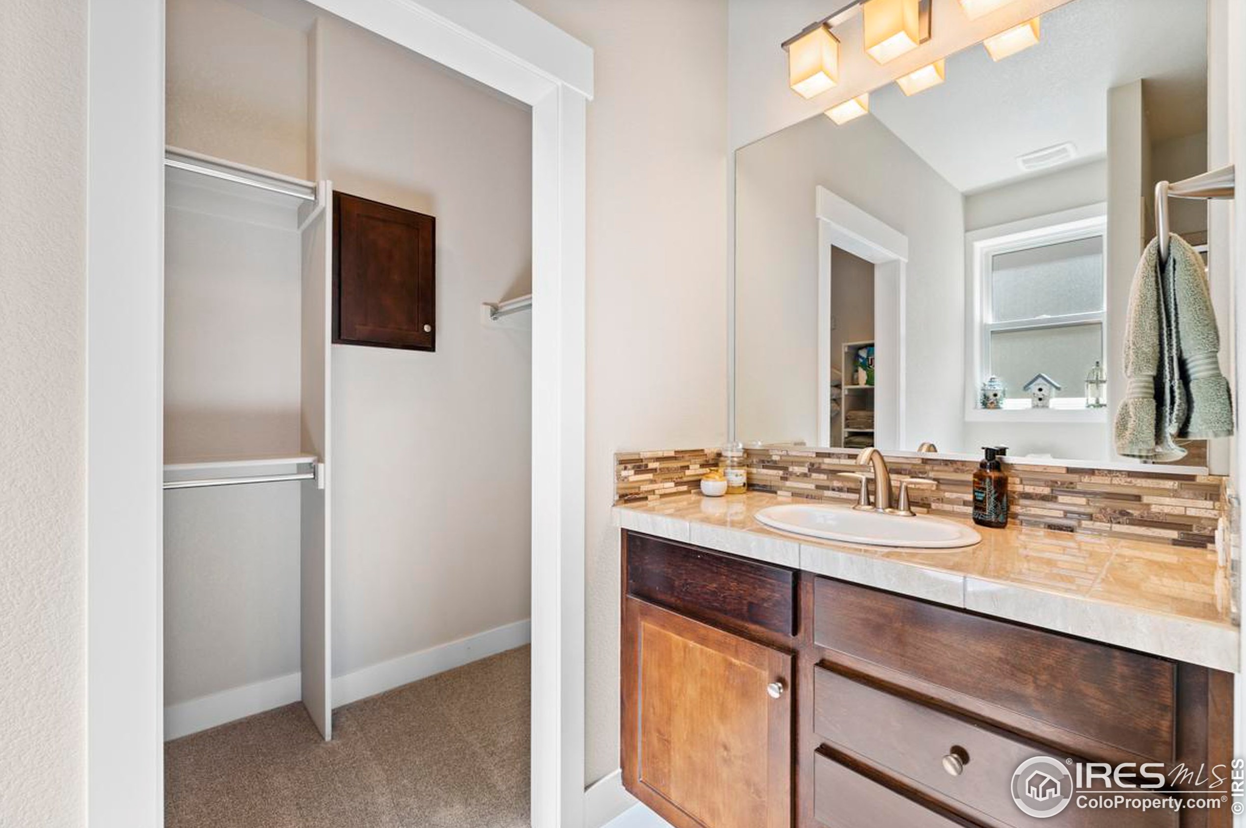 5627 Cardinal Flower Ct, Fort Collins CO  80528-7226 exterior