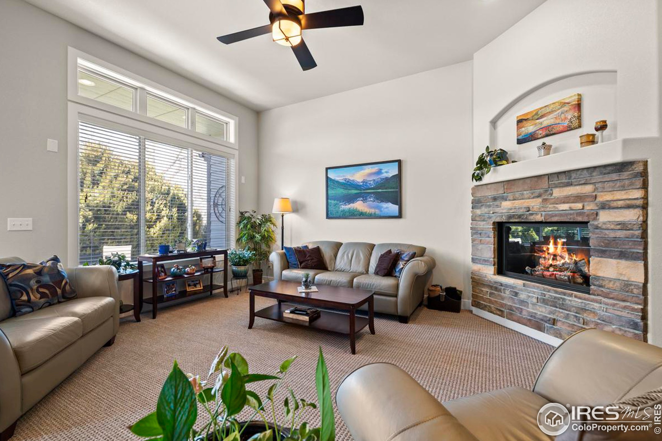 5627 Cardinal Flower Ct, Fort Collins CO  80528-7226 exterior