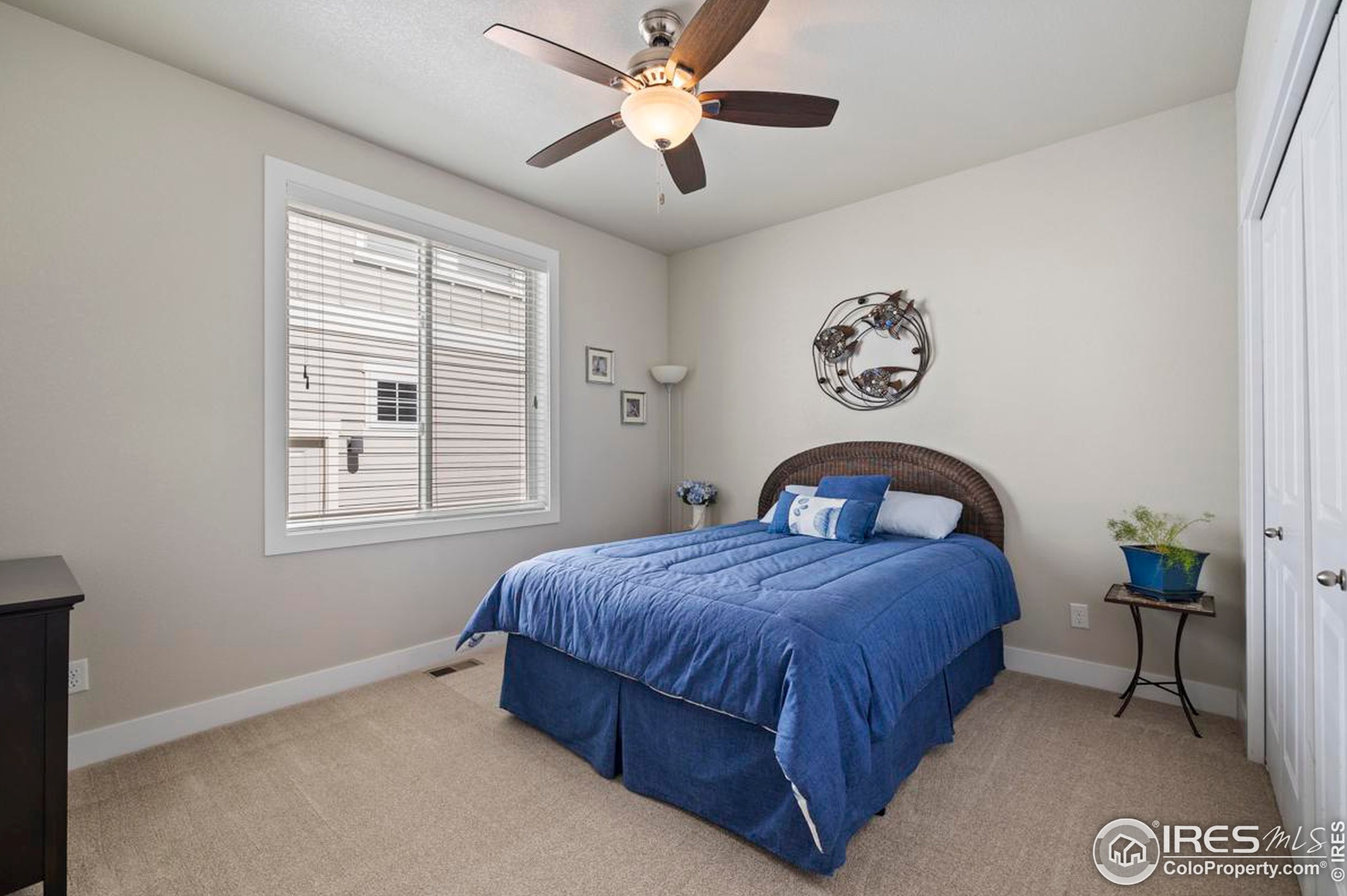 5627 Cardinal Flower Ct, Fort Collins CO  80528-7226 exterior
