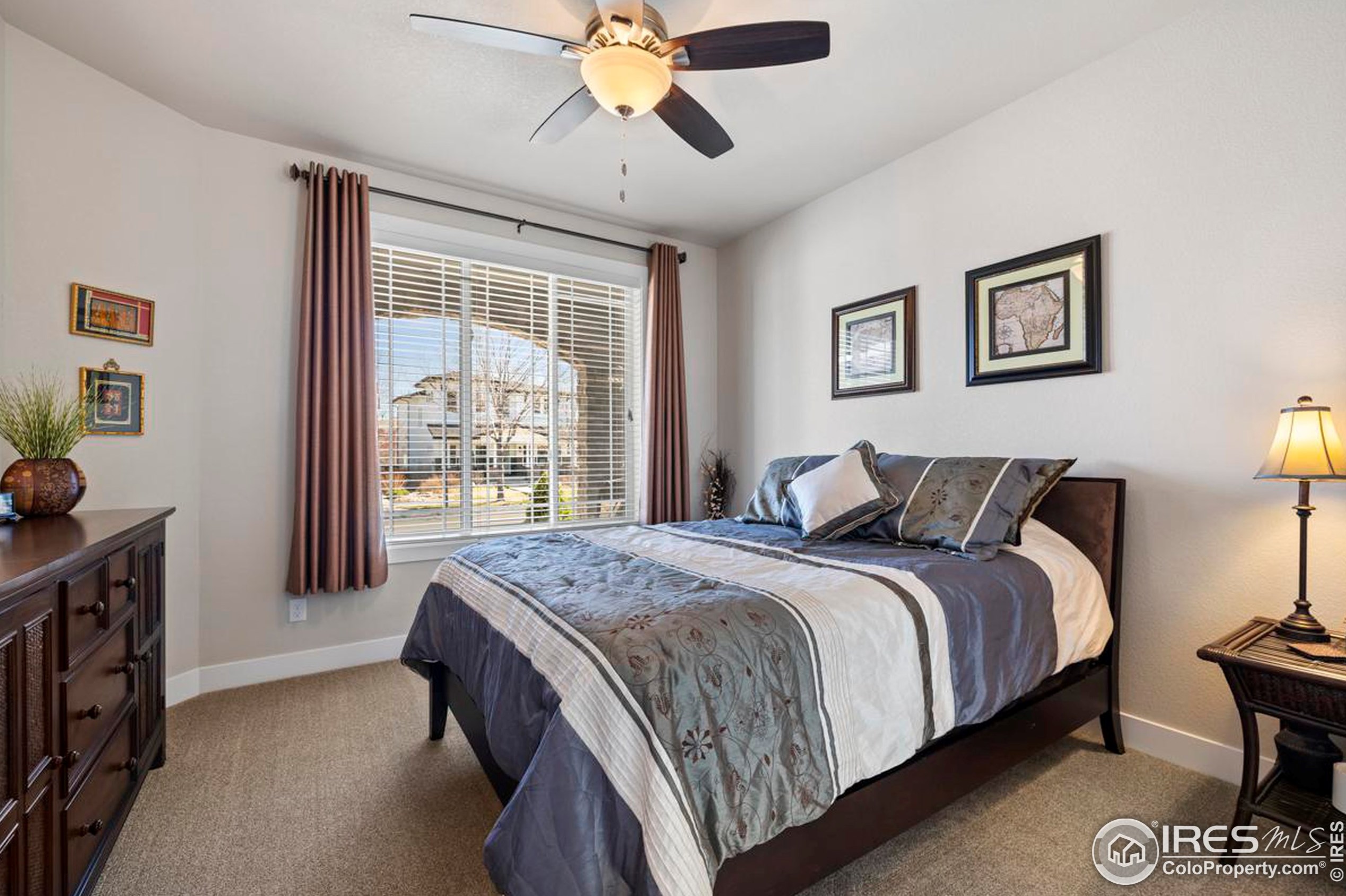 5627 Cardinal Flower Ct, Fort Collins CO  80528-7226 exterior