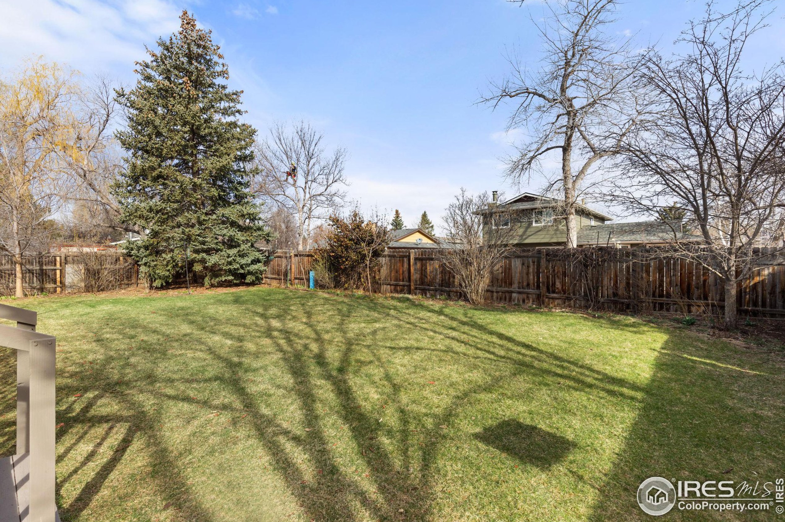 806 Coronado Ave, Fort Collins CO  80526-3111 exterior
