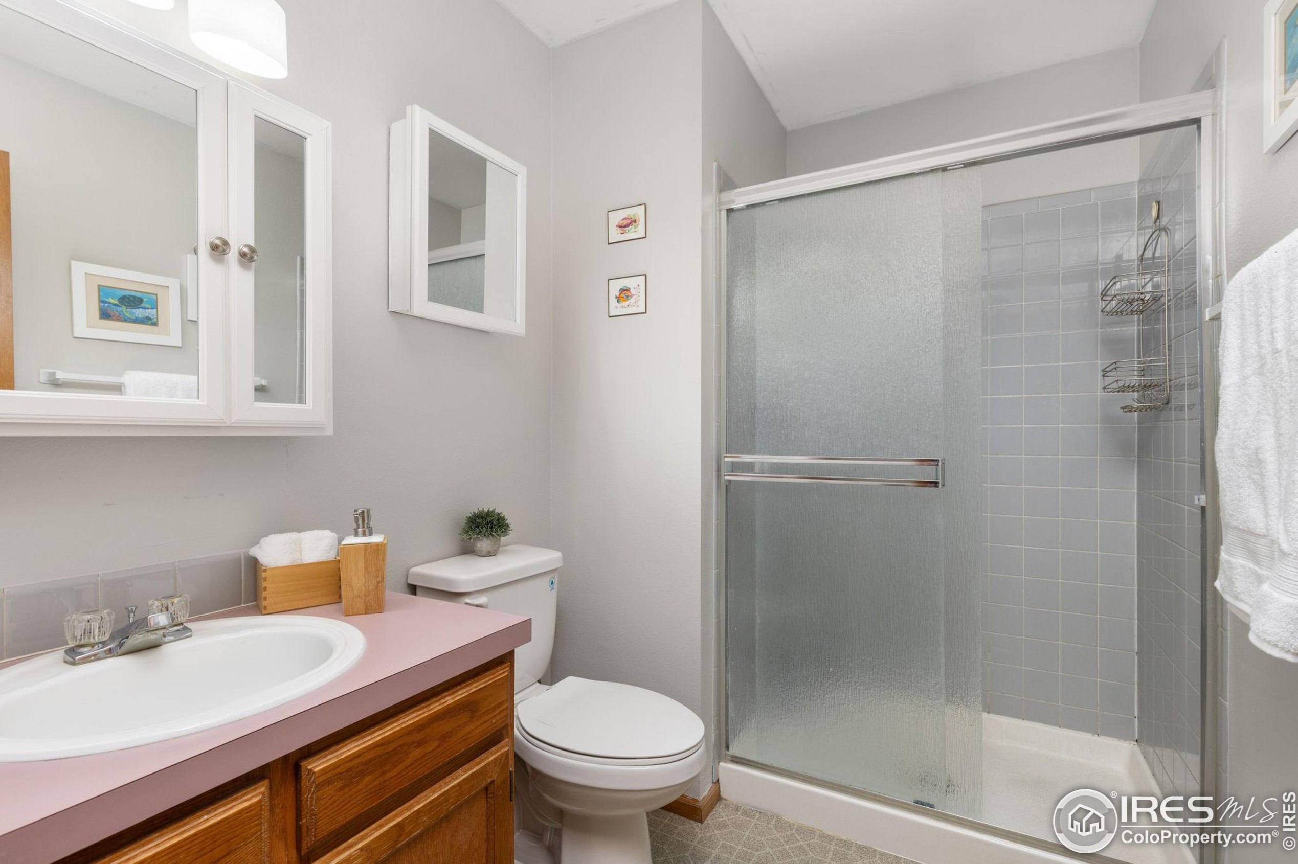 806 Coronado Ave, Fort Collins CO  80526-3111 exterior
