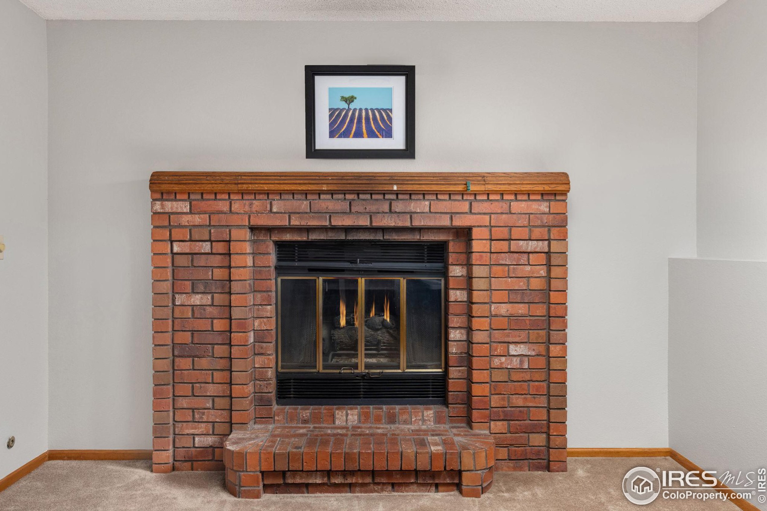 806 Coronado Ave, Fort Collins CO  80526-3111 exterior