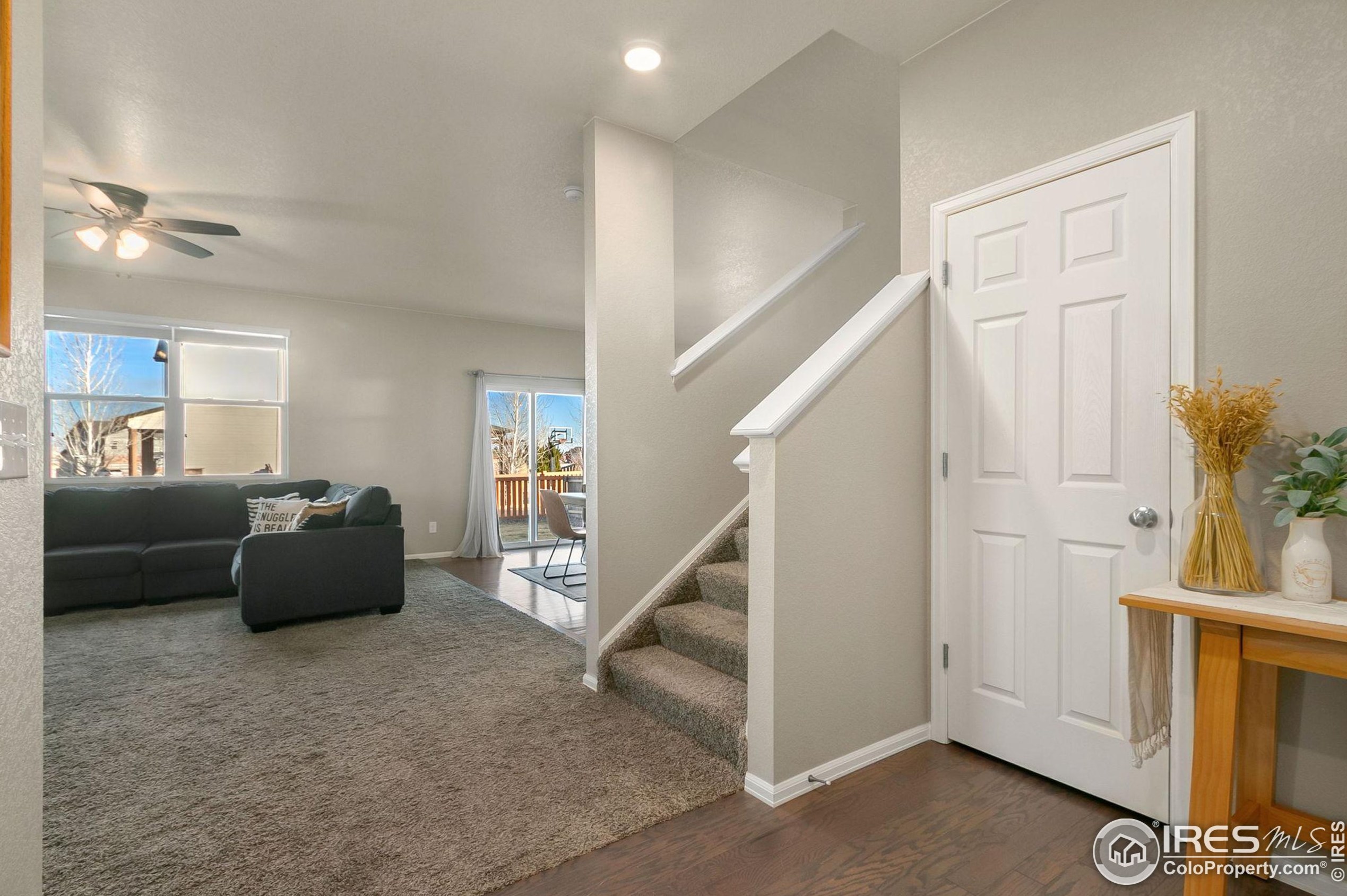 875 Dartford Dr, Fort Collins CO  80550 exterior