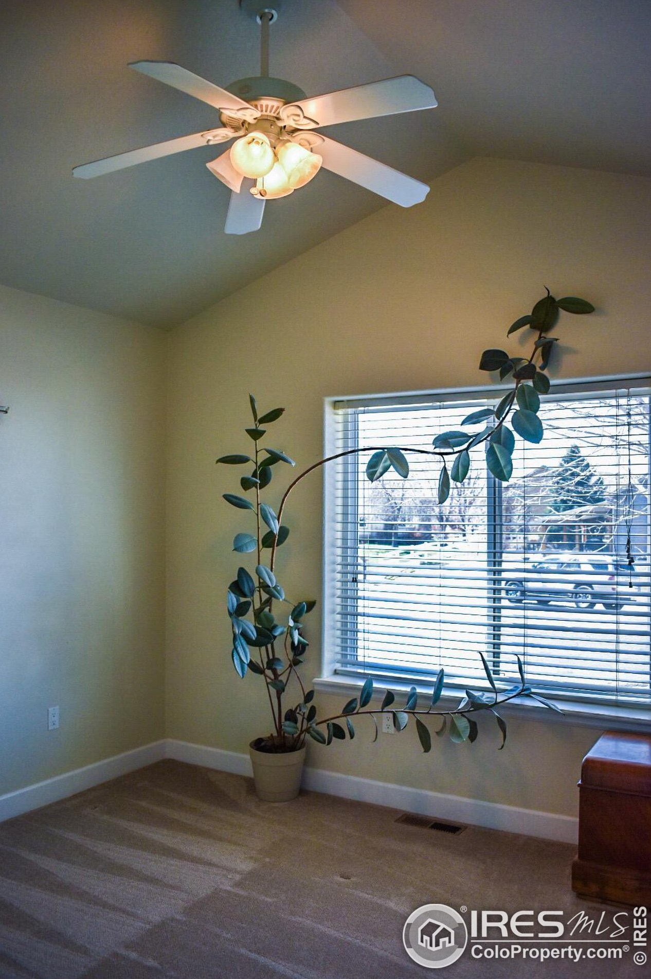 2002 Trail Ridge Dr, Eaton CO 80615-8626 exterior