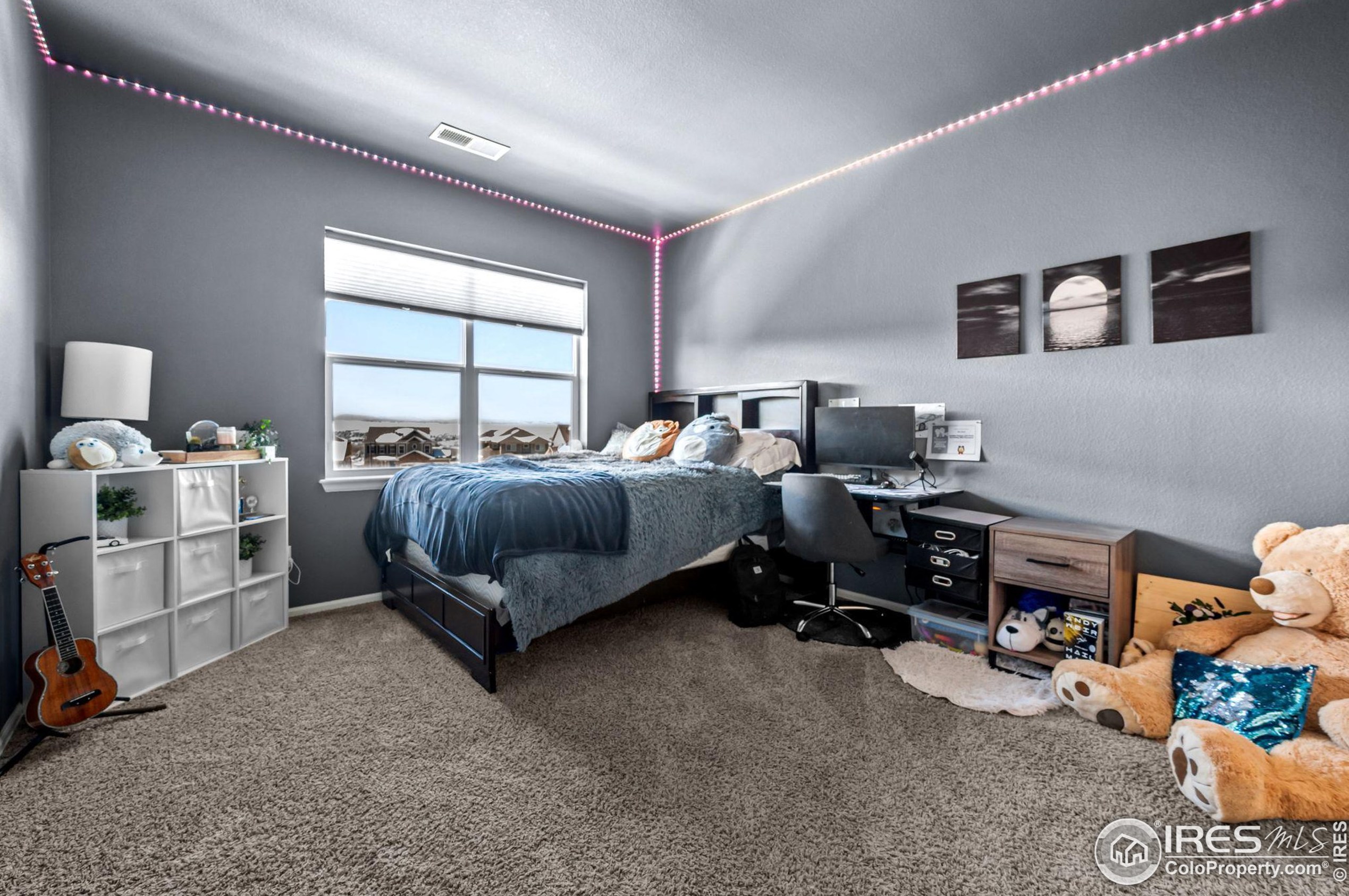 20356 Shady Rdg Rd, Parker CO 80134-6611 exterior