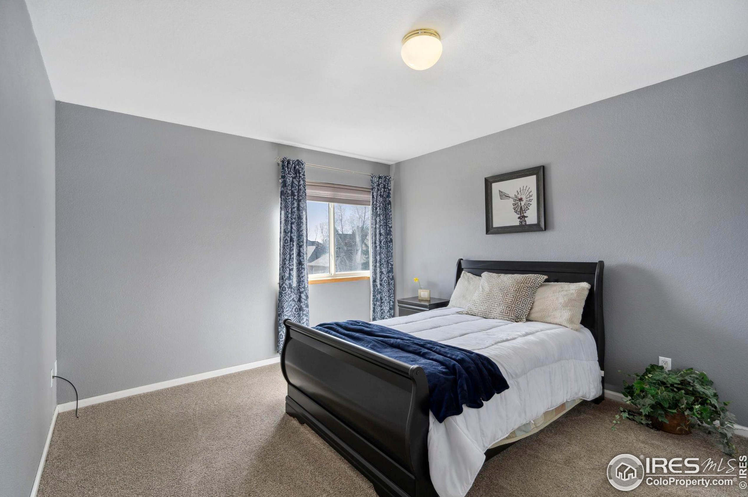 5421 Golden Willow Dr, Fort Collins CO  80528-6396 exterior