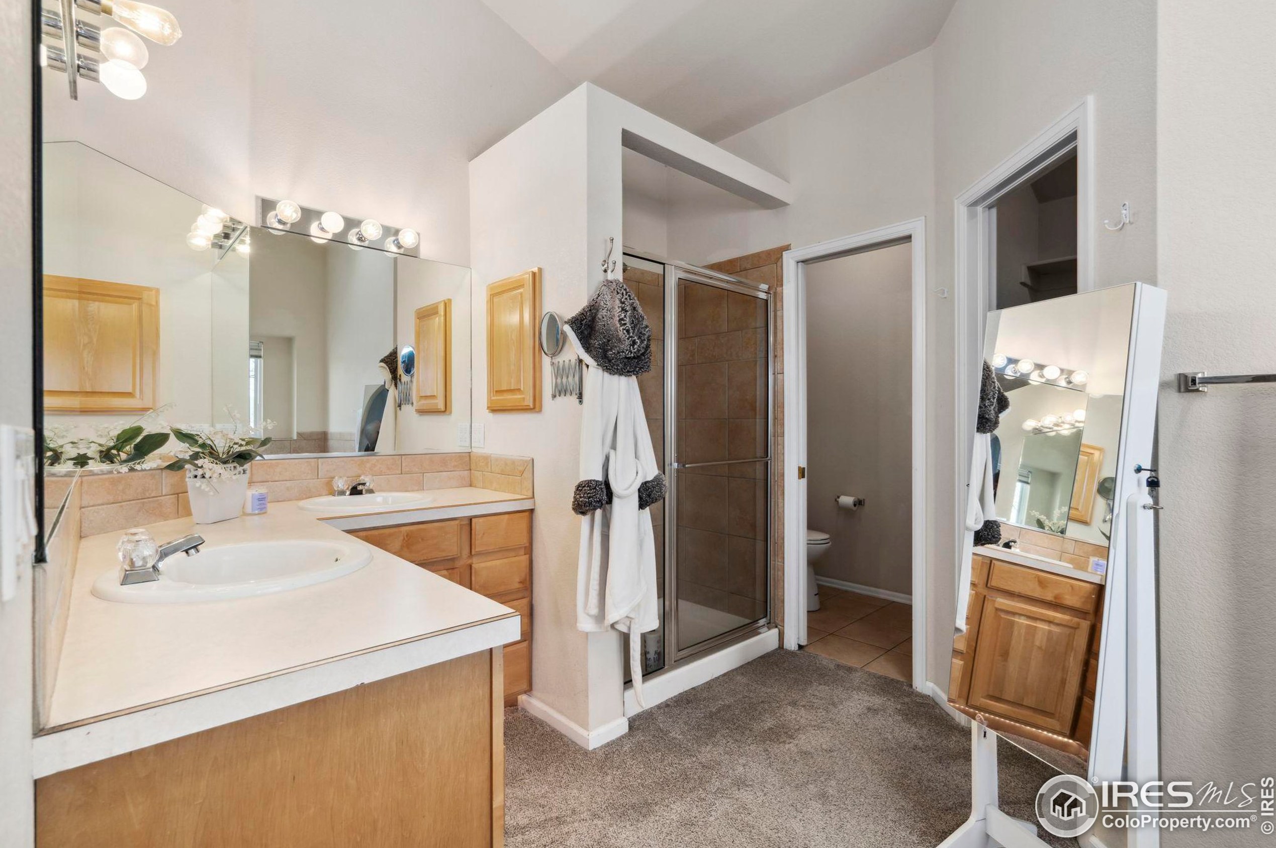 5421 Golden Willow Dr, Fort Collins CO  80528-6396 exterior