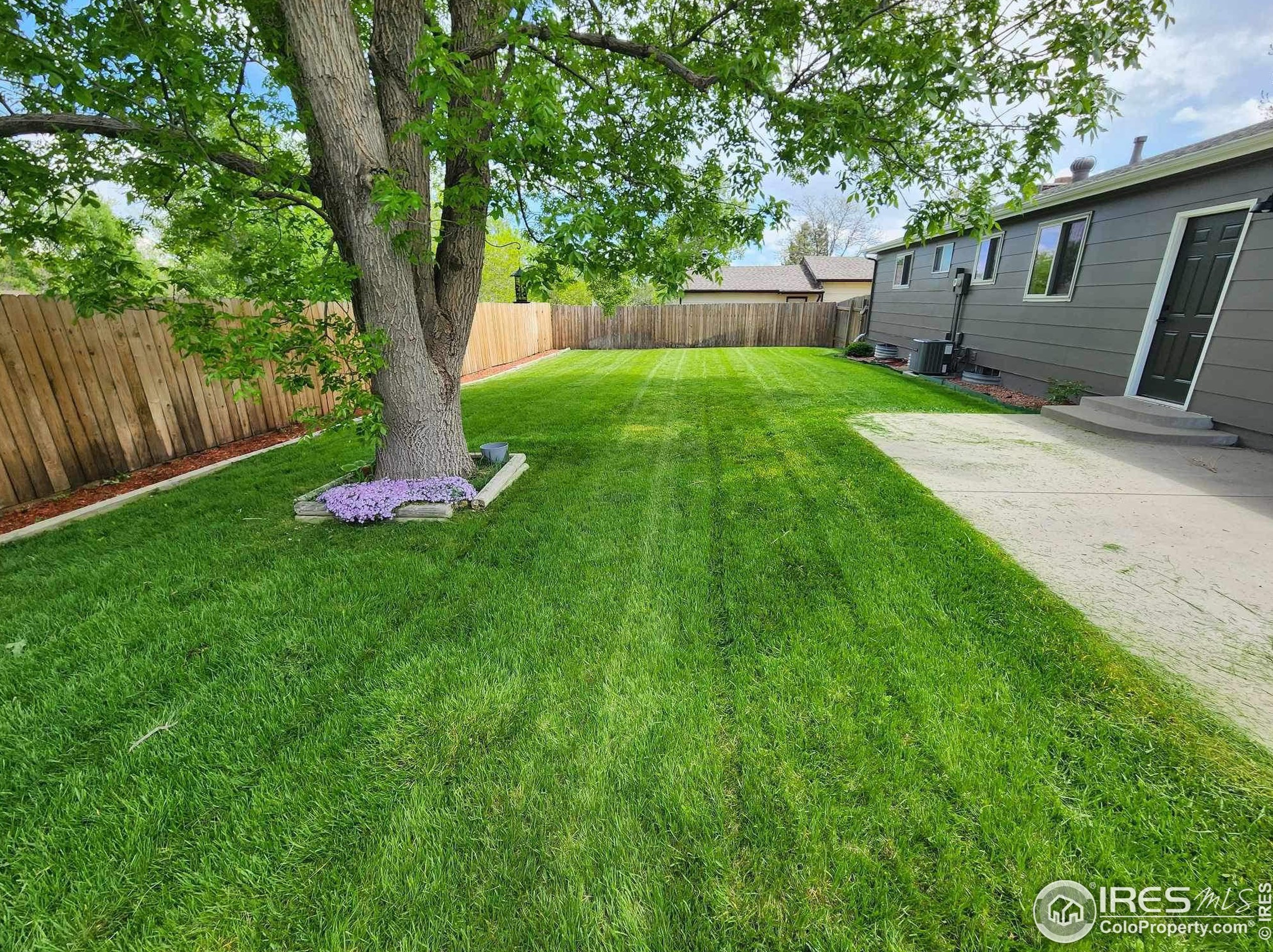 6233 78 Ave, Arvada CO  80005-4308 exterior