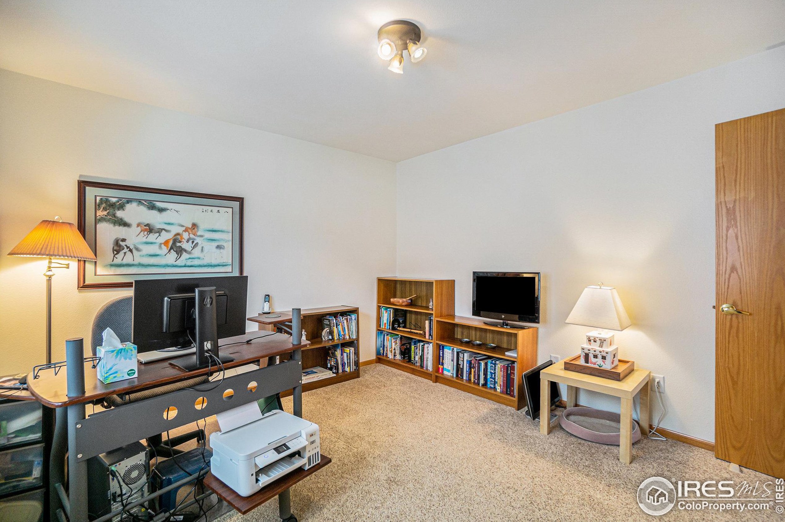 1386 Raven Cir, Estes Park CO 80517-9428 exterior