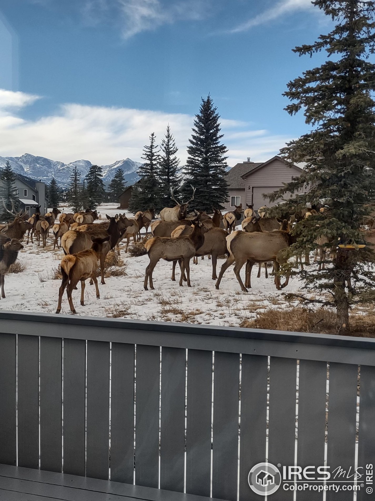 1386 Raven Cir, Estes Park CO 80517-9428 exterior