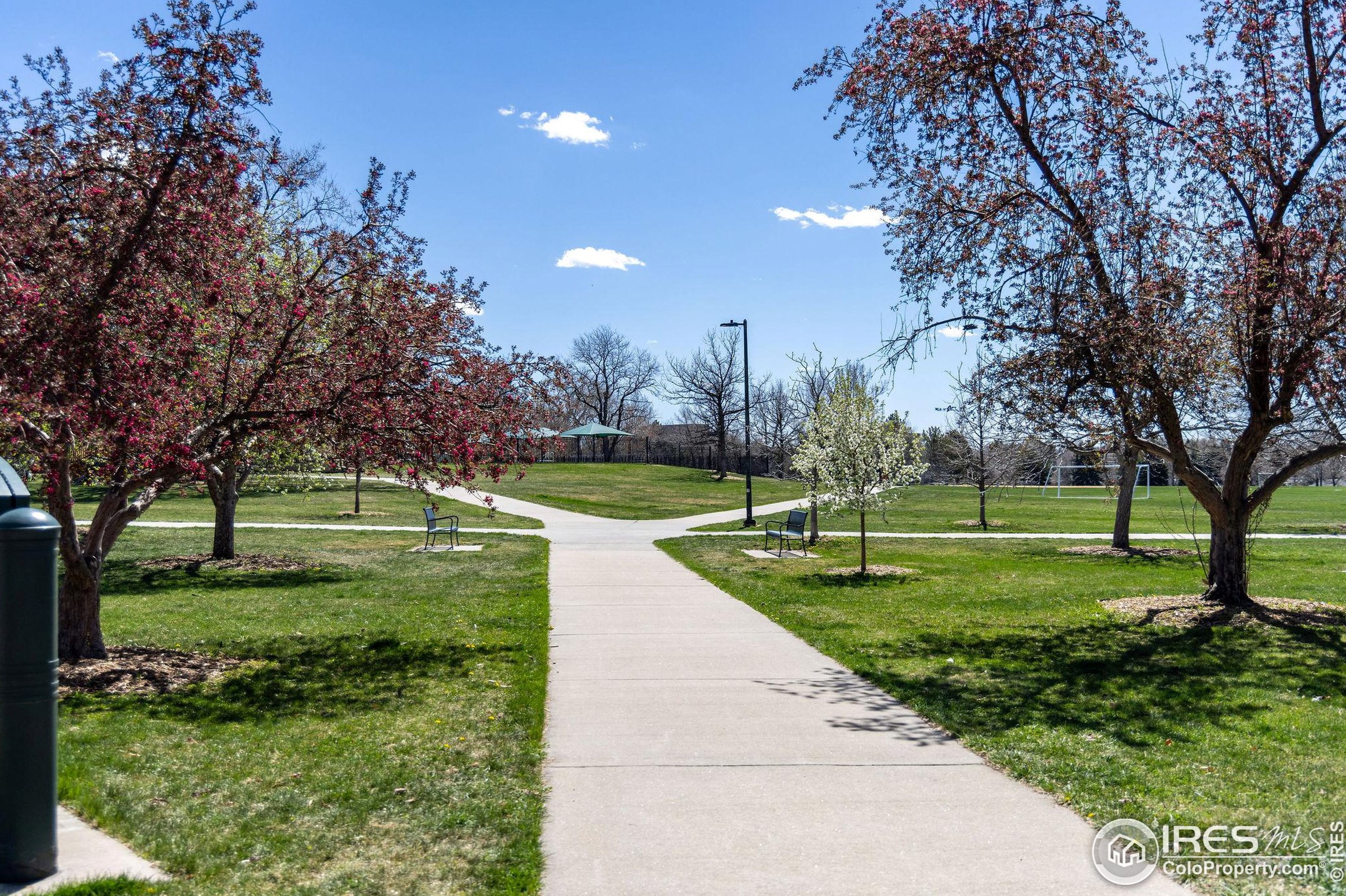 2151 Acoma St, Denver CO  80223-4123 exterior