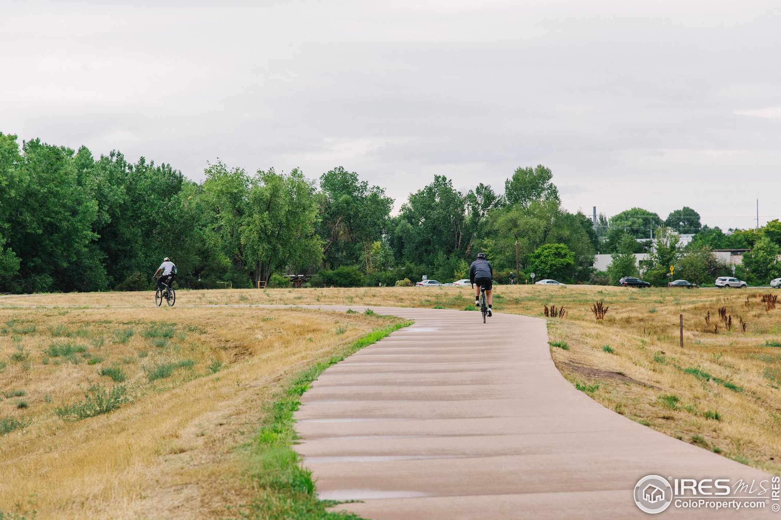415 Pitkin St, Fort Collins CO  80524-3815 exterior