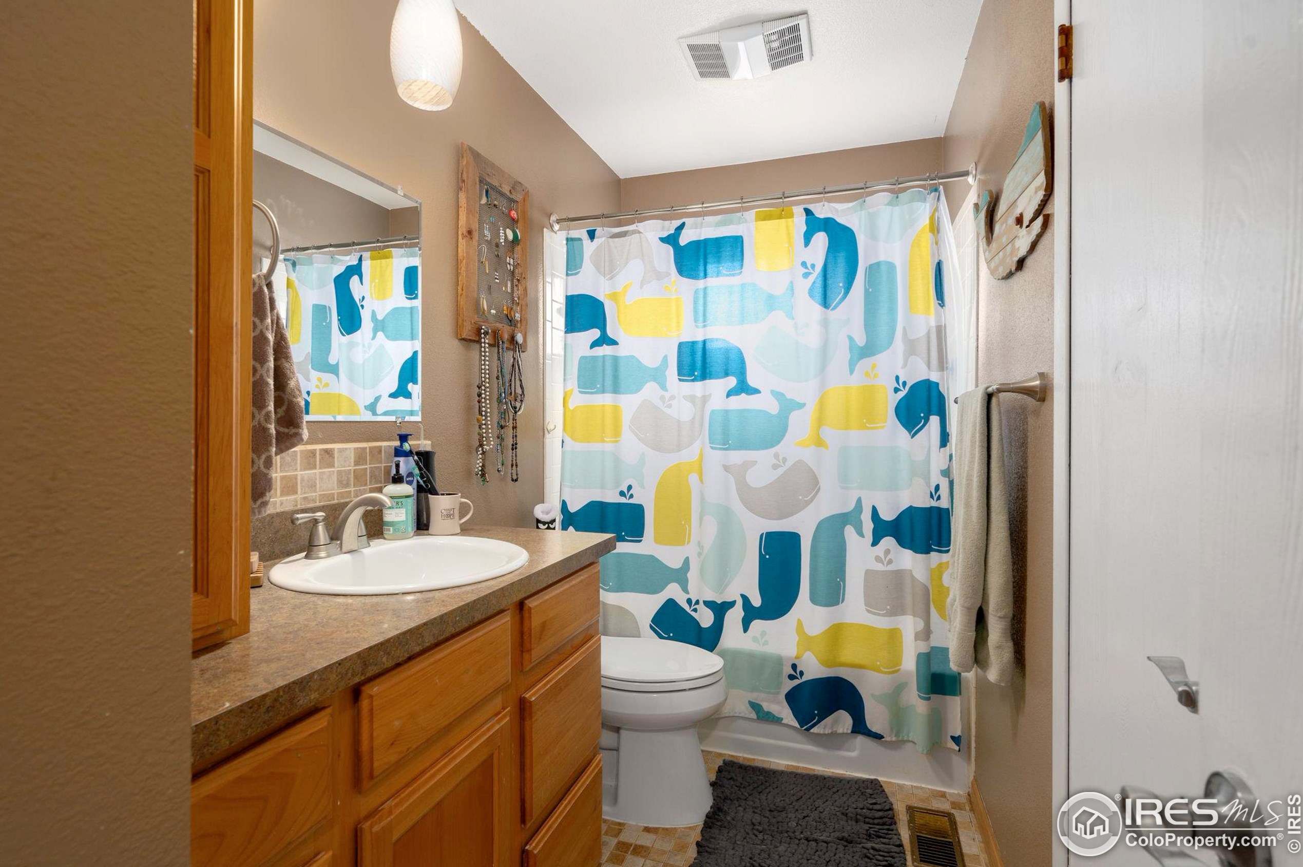 2312 Ryeland Ct, Fort Collins CO exterior