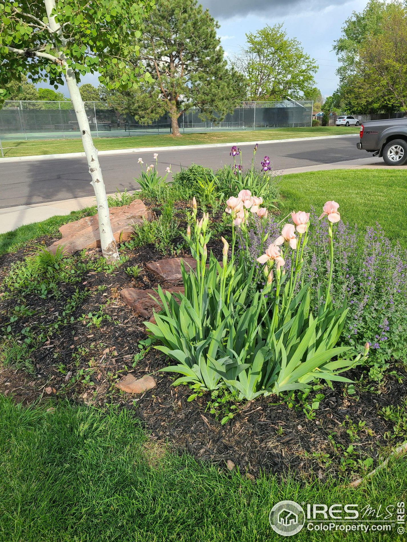 1725 Centennial Rd, Fort Collins CO 80525-4702 exterior