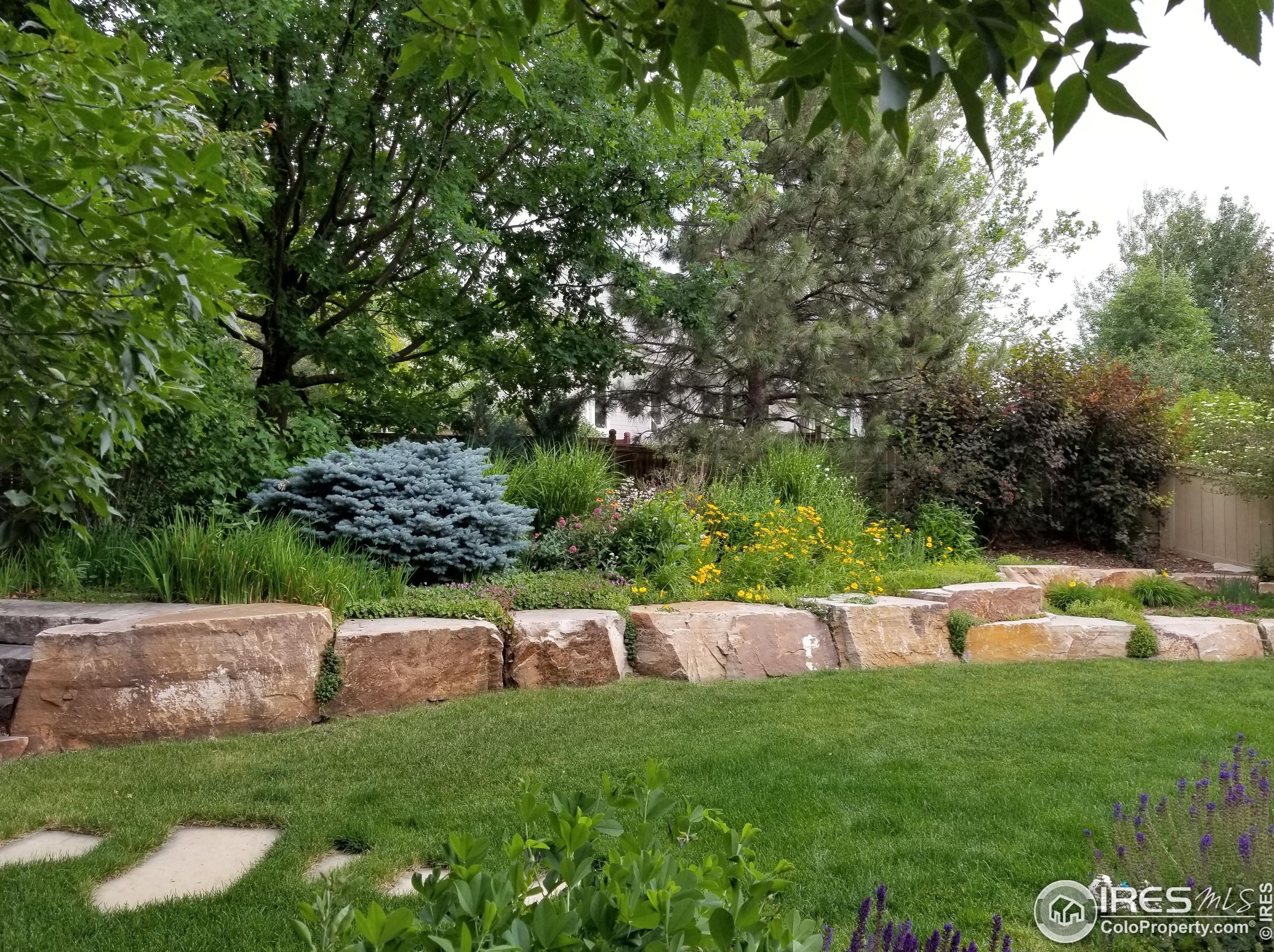 1715 Uncompahgre Dr, Loveland CO 80538-7248 exterior