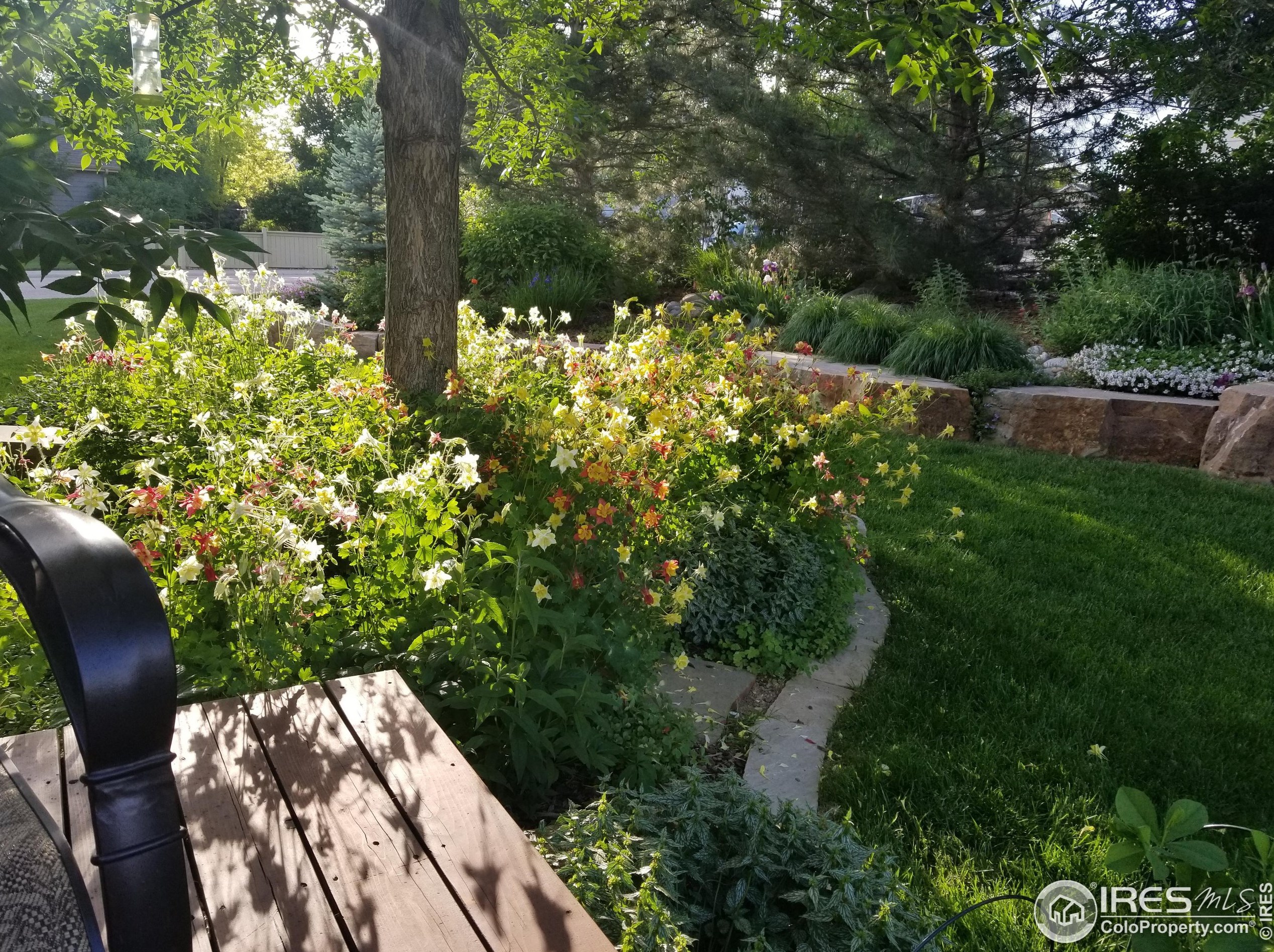 1715 Uncompahgre Dr, Loveland CO 80538-7248 exterior