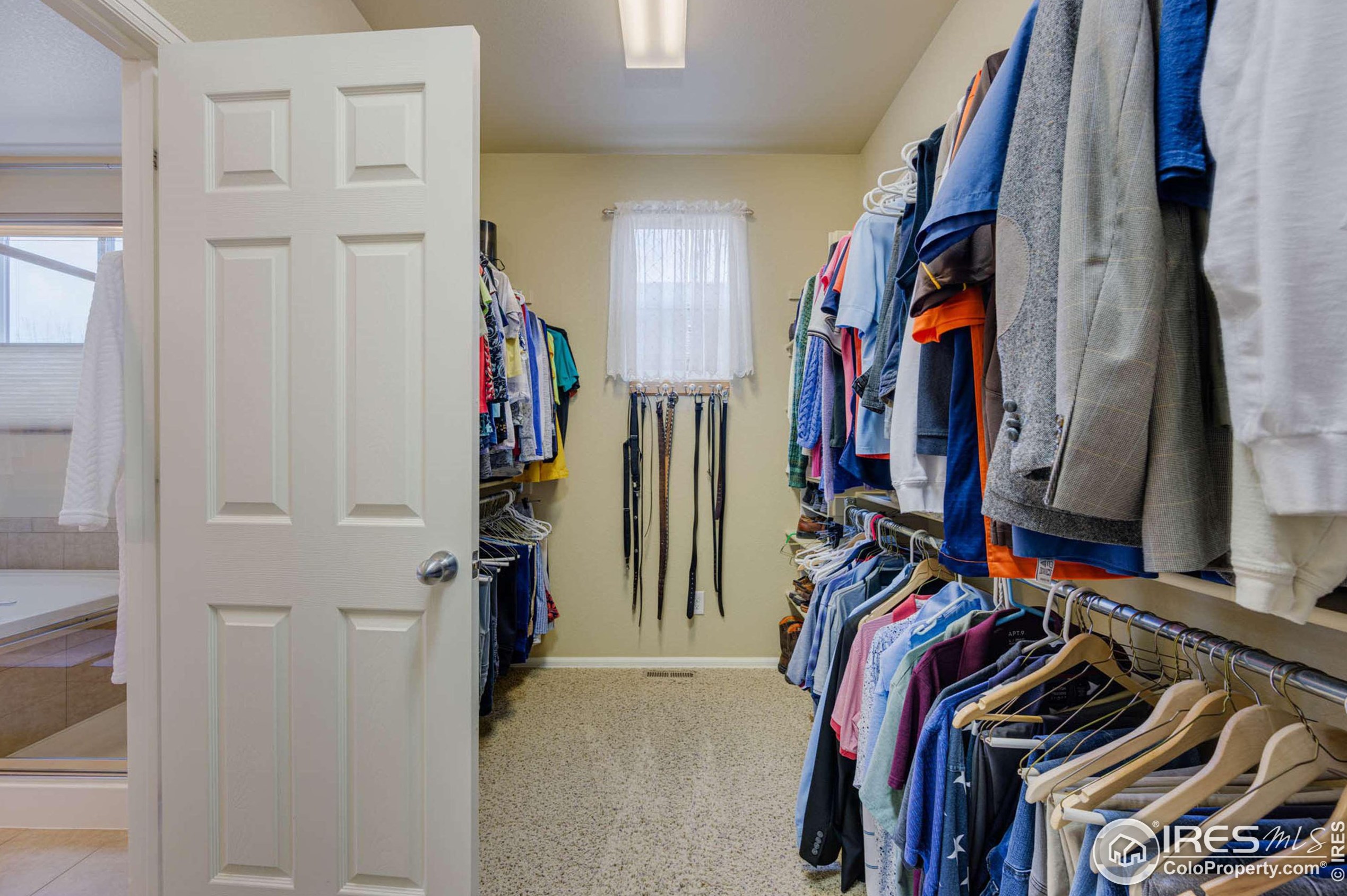 5769 Quarry St, Timnath CO 80547-2502 exterior