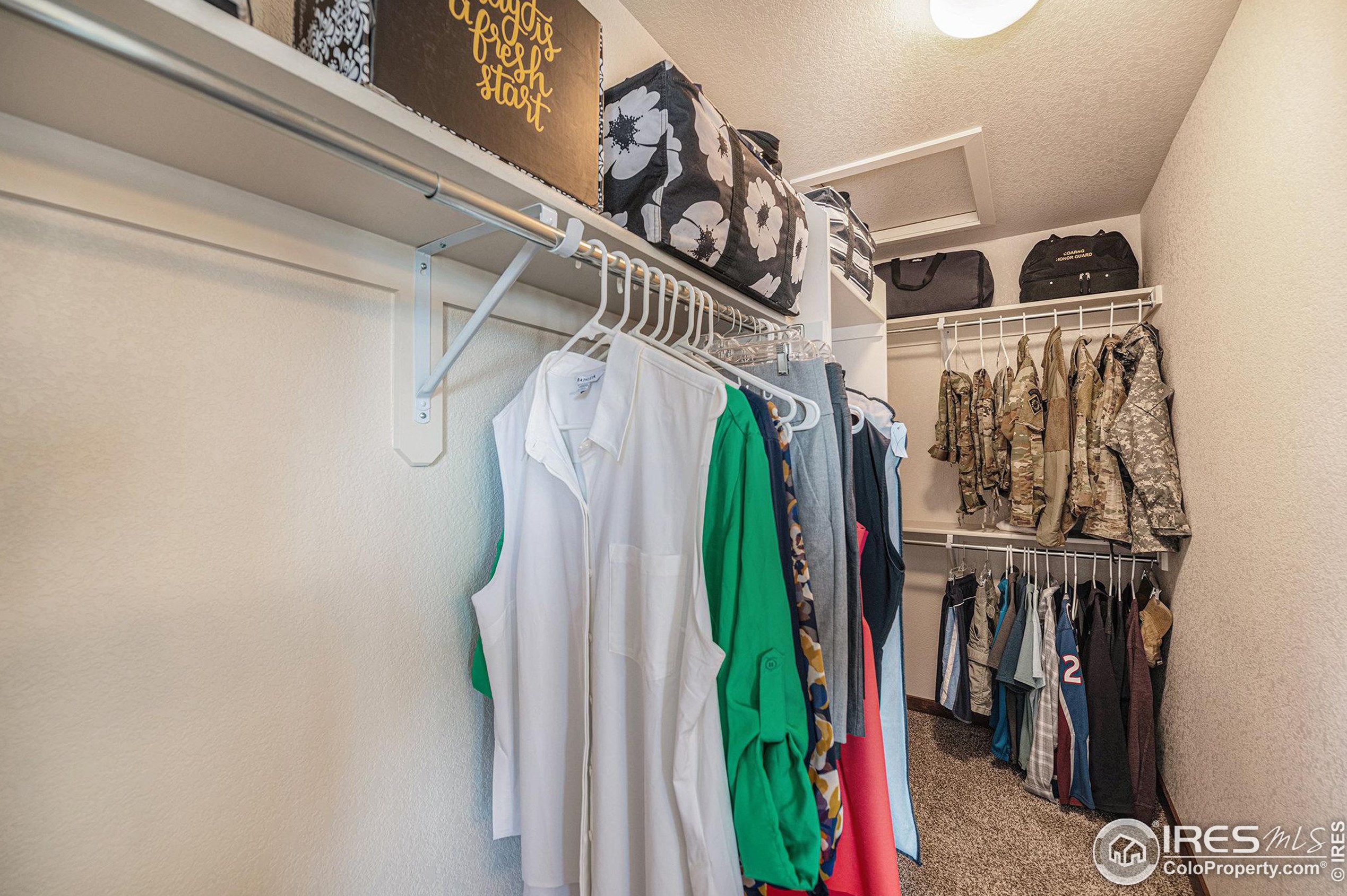 4494 Carlyle Ln, Wellington CO  80549-0023 exterior