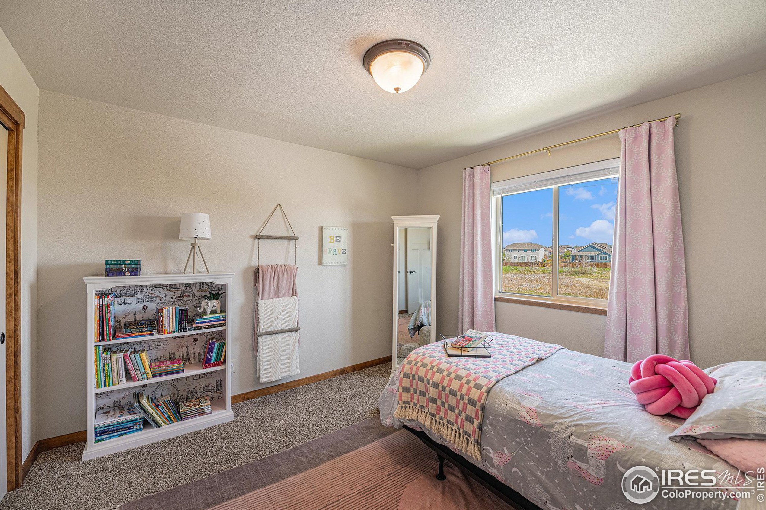 4494 Carlyle Ln, Wellington CO  80549-0023 exterior